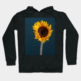 Sunflower Hoodie